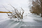 Frozen-lake-in-the-Danube-Delta-1.JPG