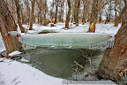 Ice in the Danube Delta_01.JPG