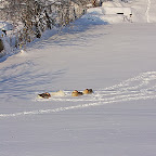 Winter 2009 by Daniel Petrescu