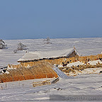 Winter 2009 by Daniel Petrescu