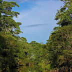 Ecuador by Daniel Petrescu