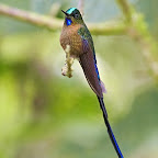 Ecuador by Daniel Petrescu