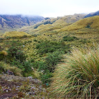 Ecuador by Daniel Petrescu