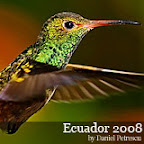 Ecuador by Daniel Petrescu