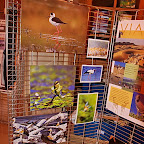 Exhibitions by Daniel Petrescu