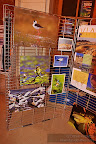 Expo_Daniel Petrescu_Sorbona_3.JPG