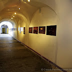 Exhibitions by Daniel Petrescu