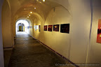 Expo_Medias_Daniel Petrescu_5.JPG