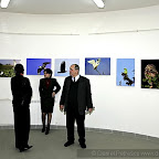 Exhibitions by Daniel Petrescu
