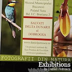 Exhibitions by Daniel Petrescu