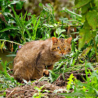 Canon Eos 7D pictures