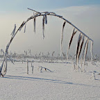 Winter 2011 - January 7th