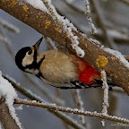 Winter 2011 - January 7th