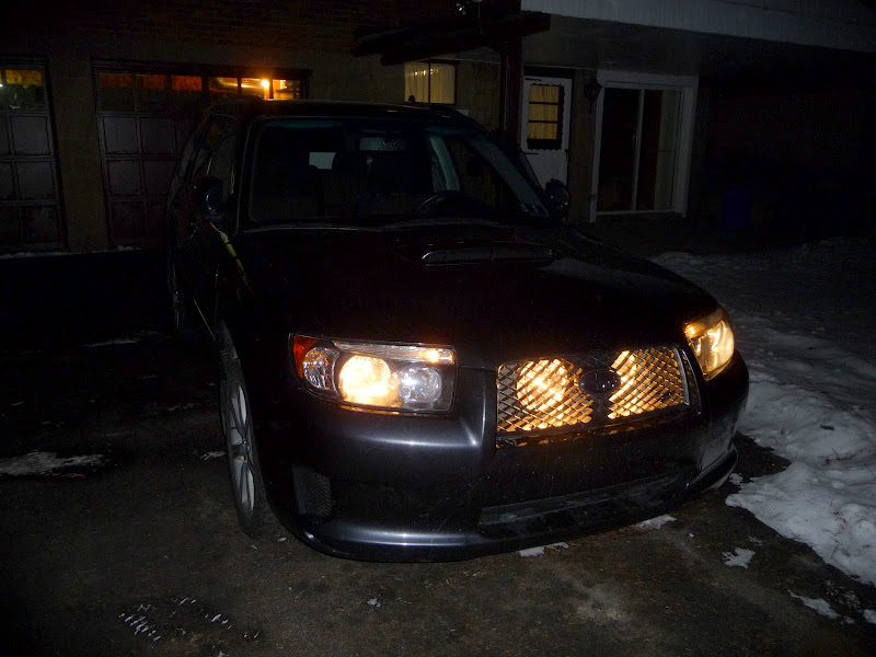P1030427.JPG