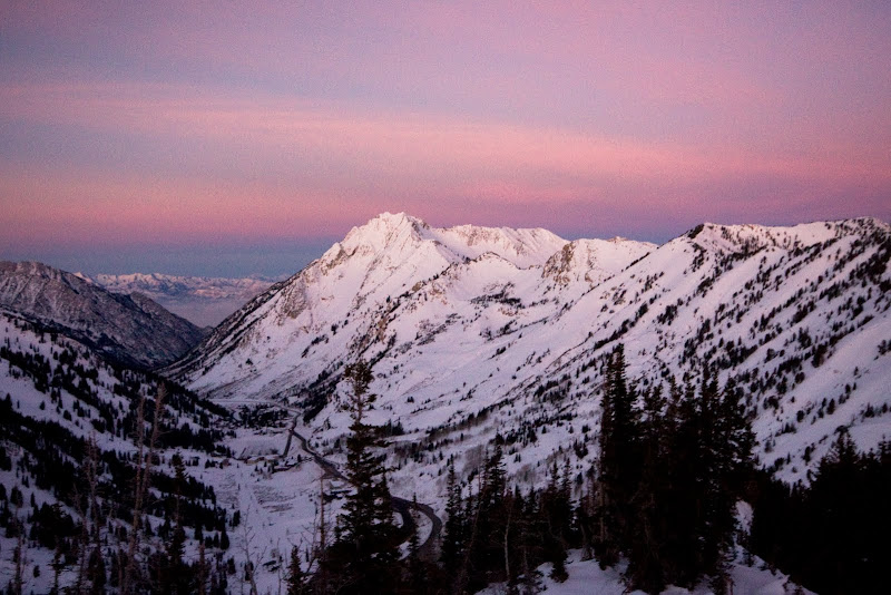 IMAGE: http://lh5.ggpht.com/_g1eUpE8zkKU/S1DT1H7QRnI/AAAAAAAADxc/JL_-3mtEEDI/s800/2010-1-15%20Wolverine%20Tour.jpg