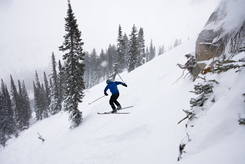 IMAGE: http://lh5.ggpht.com/_g1eUpE8zkKU/S1p0SaZZg0I/AAAAAAAAD_Y/6wMH55RbK2w/s800/2010-01-22%20Snowbird-5.jpg