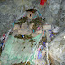 IMG_2649.JPG, Perou-Bolivie2009