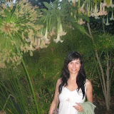 IMG_3742.JPG