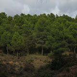 IMG_4053.JPG