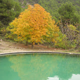 IMG_4121.JPG