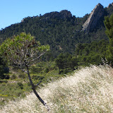 IMG_8715.JPG