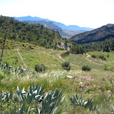 IMG_8713.JPG
