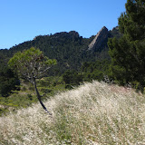 IMG_8714.JPG