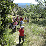 IMG_8720.JPG