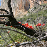 IMG_8015.JPG