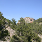 IMG_8105.JPG