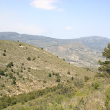 IMG_8087.JPG