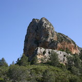 IMG_8104.JPG