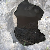 IMG_8747.JPG