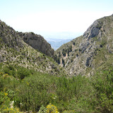 IMG_8800.JPG
