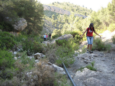  El forat de la Penya Migjorn