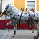 IMG_6015.JPG