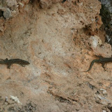IMG_6670.JPG