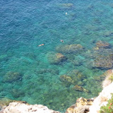 IMG_8359.JPG