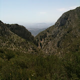 IMG_0345.jpg