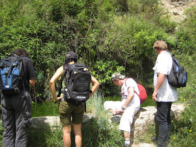  Excursió per Nutxes, La Llibreria, Barranc dels Ports, Penya Reona, La Costa i Riu Sec