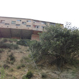 IMG_8887.JPG
