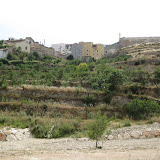 IMG_8892.JPG