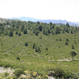 IMG_8142.JPG
