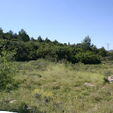 IMG_8134.JPG