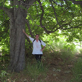 IMG_8854.JPG