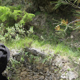 IMG_8869.JPG