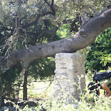 IMG_8117.JPG
