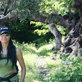 IMG_8123.JPG