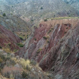 IMG_0184.jpg