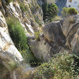 IMG_8930.JPG